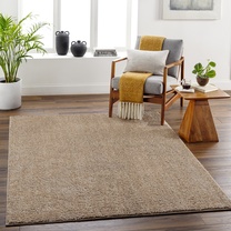 Alfombra Rug