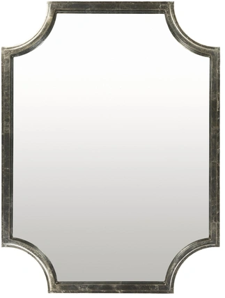 Joslyn Traditional Mirror
