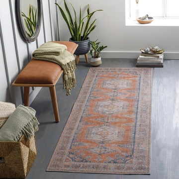 Colin Traditional Runner Rug