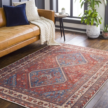 Amelie Traditional Rug